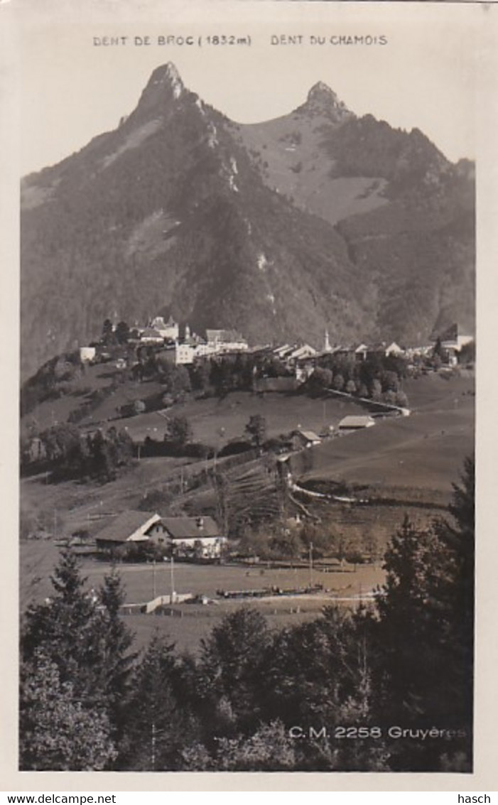 4841  260 Gruyères Dent De Broc - Broc