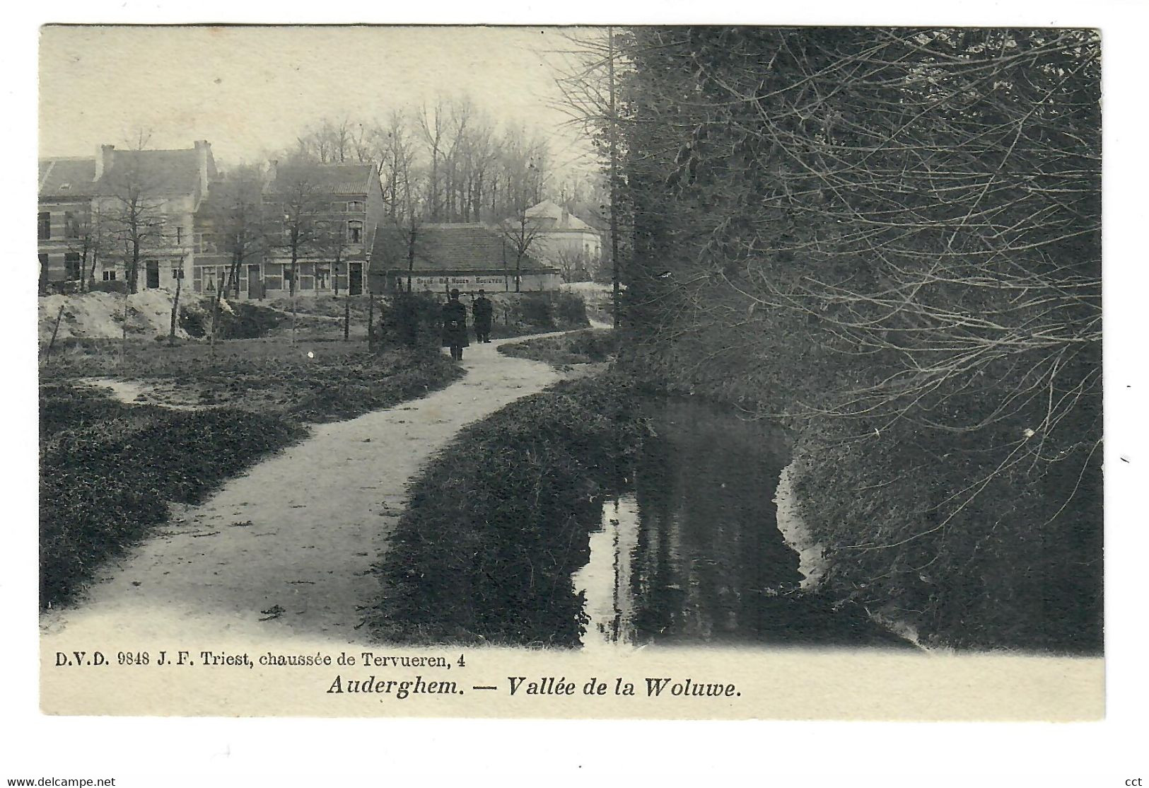 Auderghem Bruxelles Vallée De La Woluwe Edit D.V.D. 9848 J. F. Triest - Auderghem - Oudergem