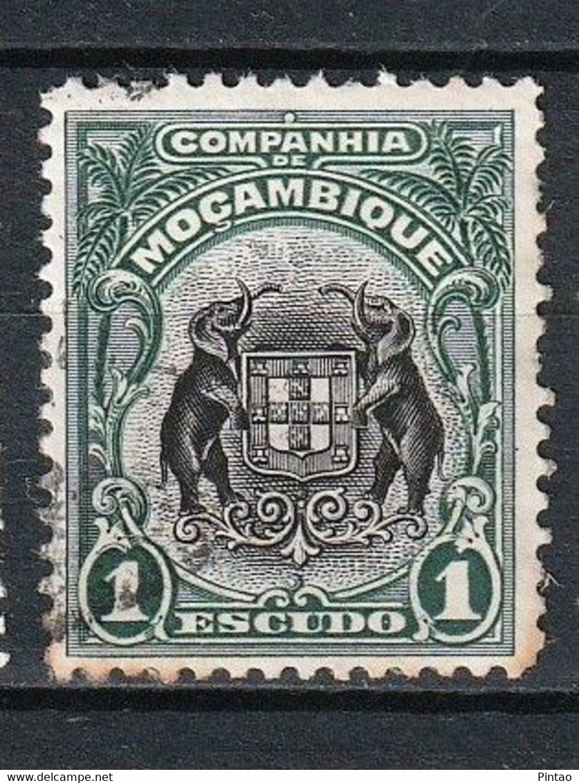 COMPANHIA DE MOÇAMBIQUE 1918_ 24 Nº 132- USD_ CMÇ437 - Autres & Non Classés