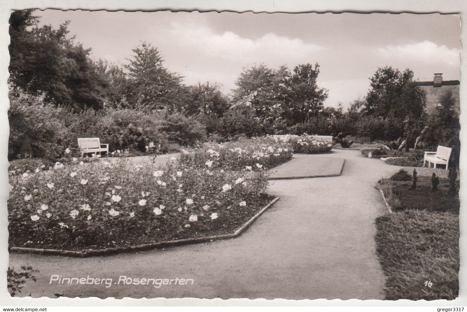 C5060) PINNEBERG  Rosengarten - Schöne Alte S/W AK - Pinneberg