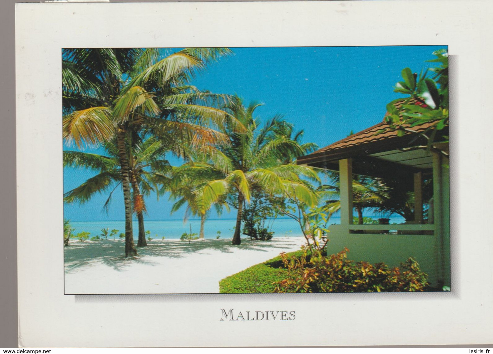 C.P. - PHOTO - MALDIVES - A RESORT BUNGALOW SURROUNDED BY VEAUTIFUL COCONUT AND TROPICAL PLANTS - MA 21 - SUN FRONT - Maldives