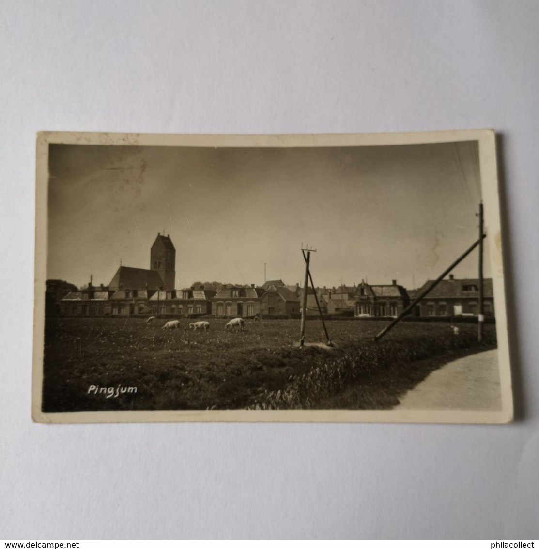 Pingjum (gem. Sudwest Fryslan) FOTOKAART No 1 Foto De Jong Leeuwarden 19?? Verzonden 1942 - Otros & Sin Clasificación