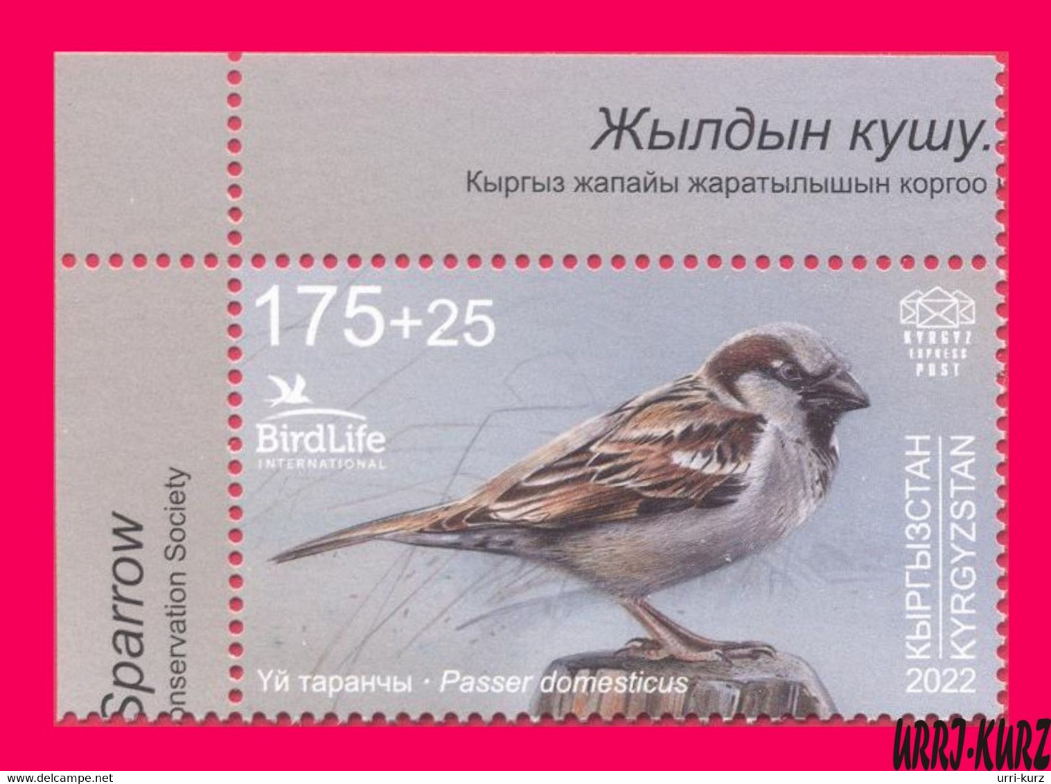KYRGYZSTAN 2022-2023 Nature Fauna Birds Bird Of Year House Sparrow 1v Mi KEP 188 MNH - Moineaux
