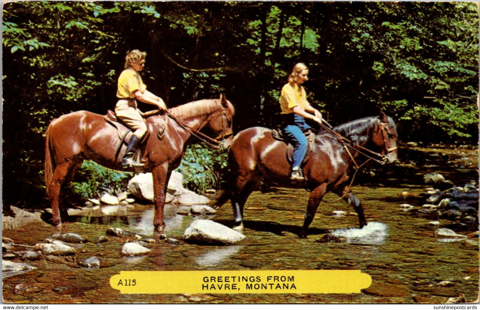 Montana Greetings From Havre With Horseback Riders 1953 - Havre