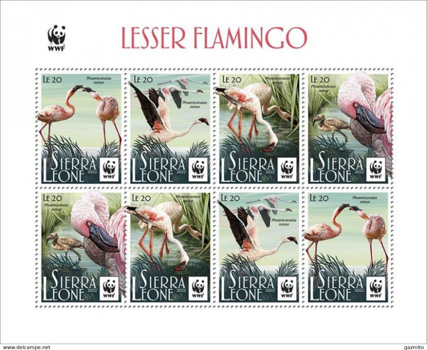 Sierra Leone 2022, WWF, Flamingo, Reprinted, 8val In Sheetlet - Flamingo's