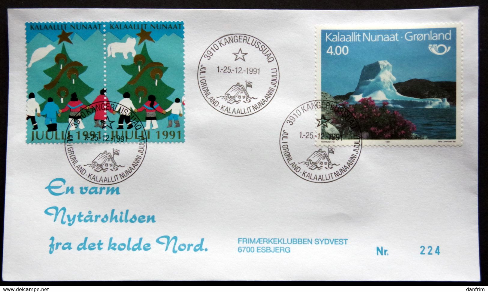 Greenland 1991 Cover  Minr.217  KANGERLUSSUA   (lot  805 ) - Cartas & Documentos