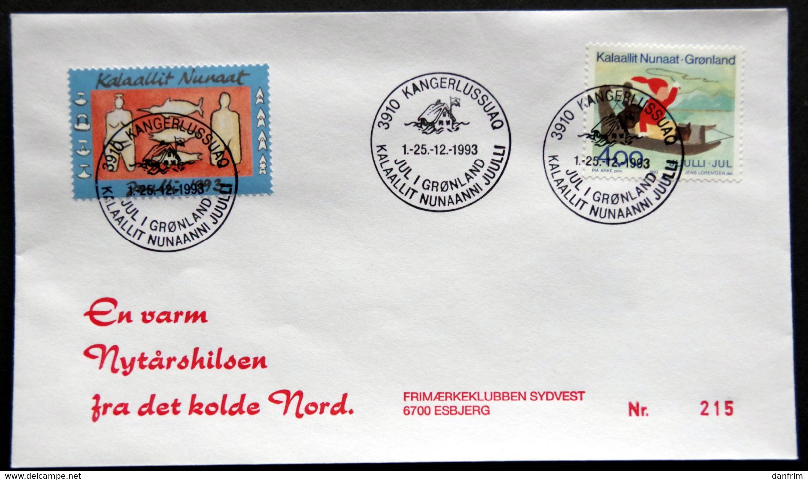 Greenland 1993 Cover  Minr.242  KANGERLUSSUA   (lot  807 ) - Lettres & Documents