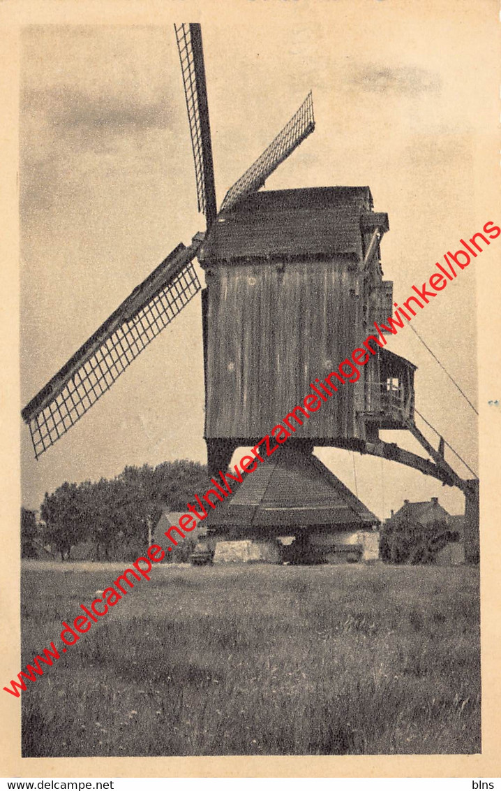 Molen Gestel-Dreef - Meerhout - Meerhout