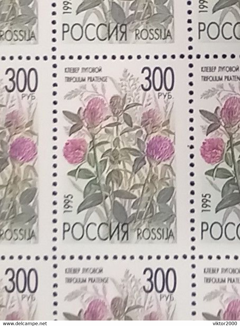 RUSSIA MNH (**) 1995 Meadow Flowers YVERT6122 -6126 Mi 425-429 - Feuilles Complètes