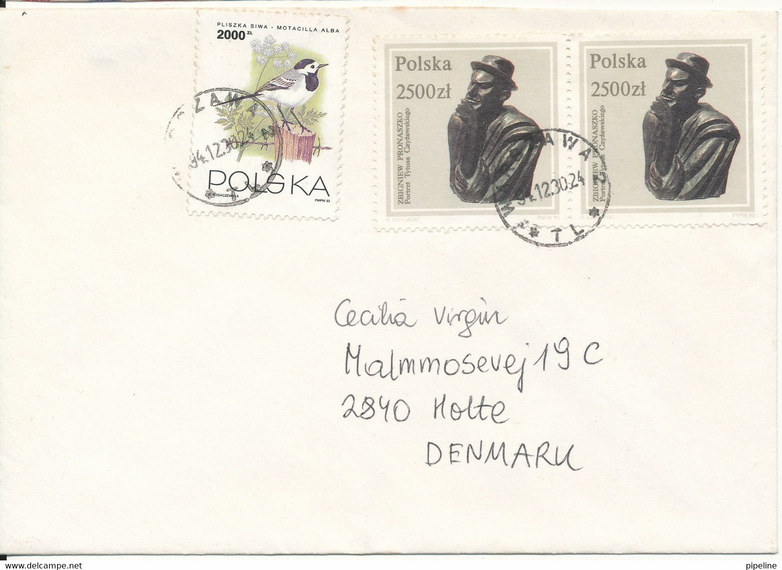 Poland Cover Sent To Denmark 30-12-1994 Topic Stamps The Flap On The Backside Of The Cover Is Missing - Lettres & Documents