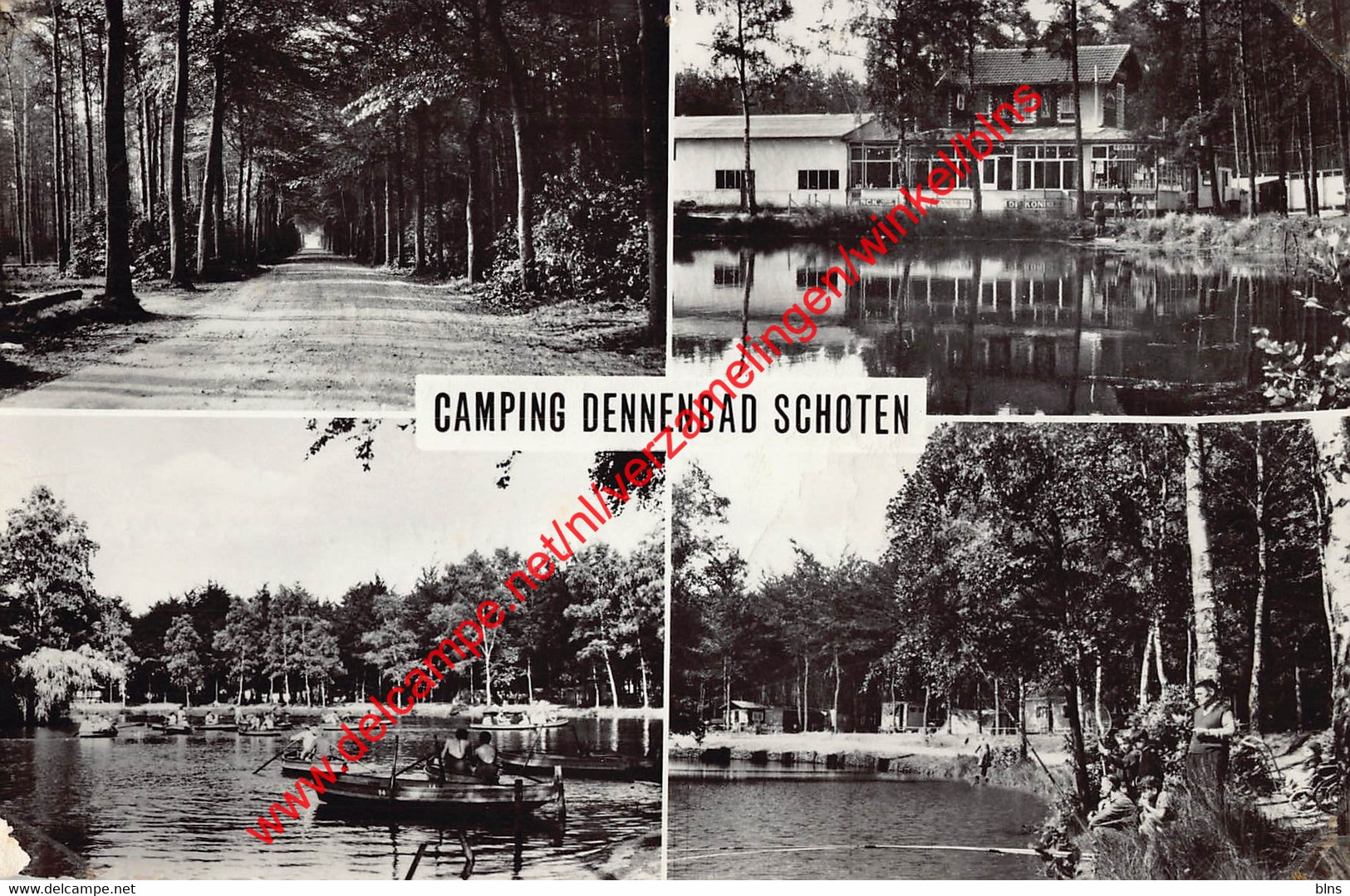 Camping Dennenbad - Schoten - Schoten