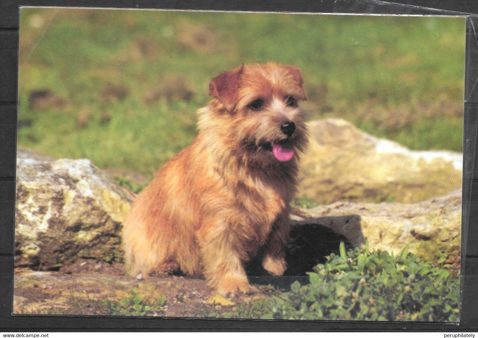 Poland Postcard , Porabk Ak. Ket Sent To US - Lettres & Documents