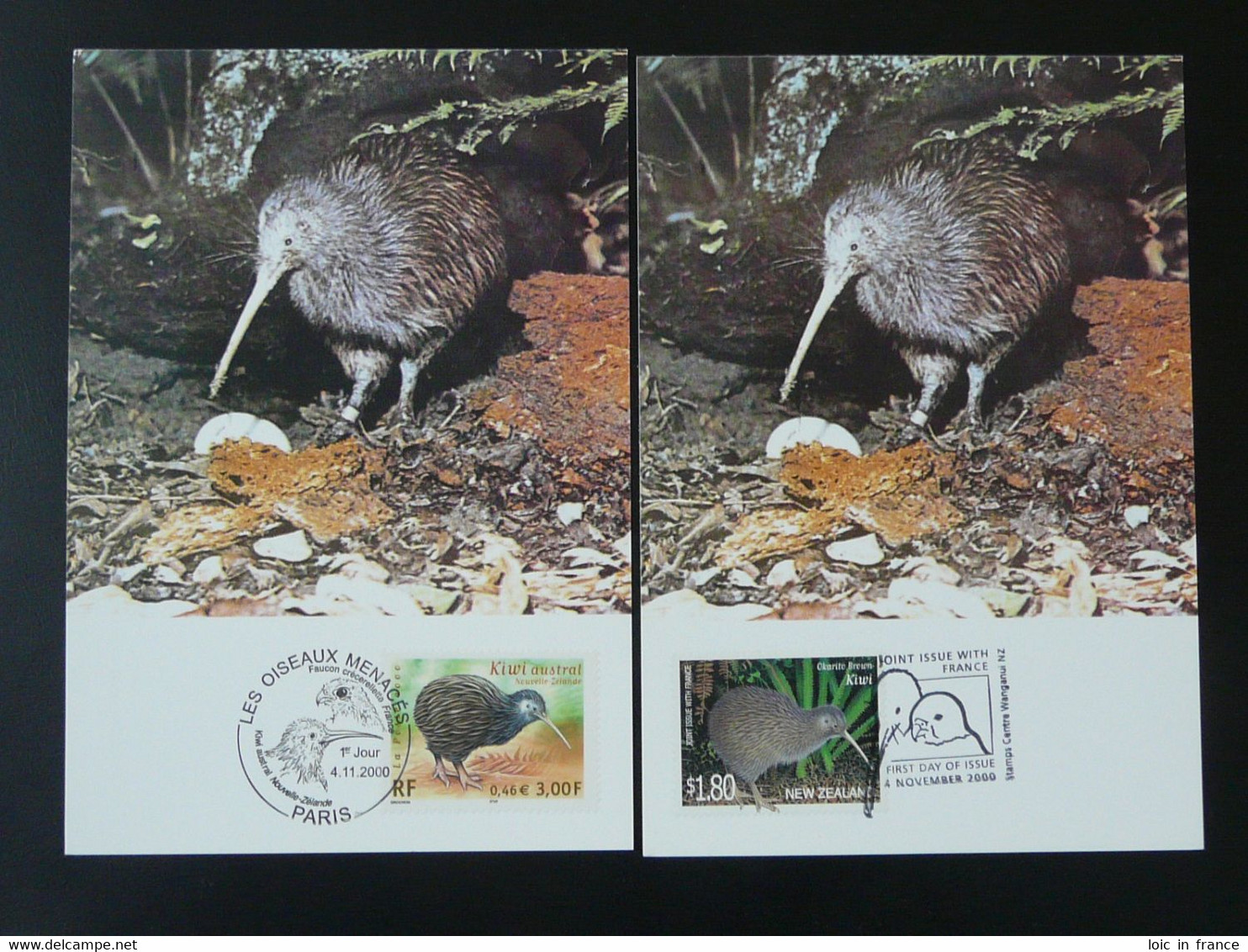 Carte Maximum Card (x2) Oiseau Bird Kiwi émission Commune Joint Issue France - New Zealand 2000 Ref 101676 - Kiwis