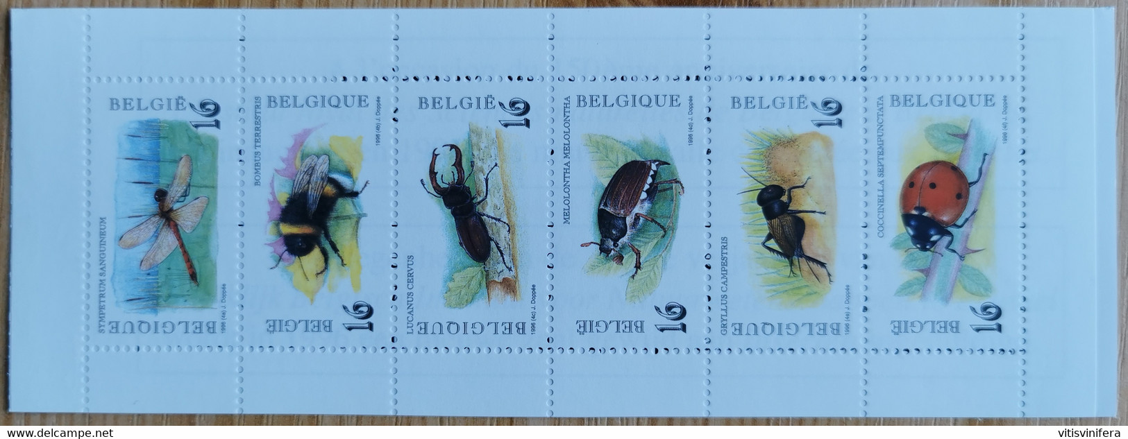 Carnet B27 Avec COB 2630/35 Année 1996. Nature. Insectes - Sin Clasificación