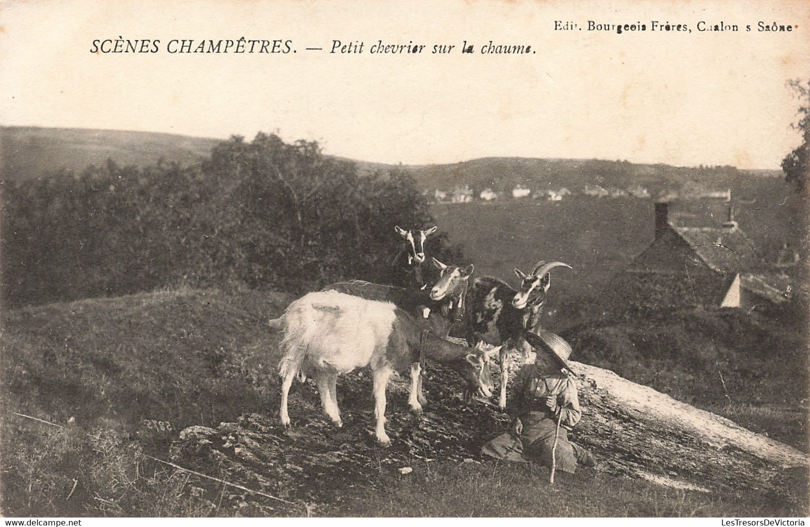 Agriculture - Scène Champêtre - Petit Chevier Sur La Chaume - Edit. Bourgeois Frères - Chèvre- Carte Postale Ancienne - Wagengespanne