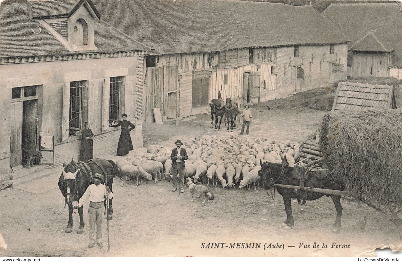 Agriculture - Saint Mesmin - Vue De La Ferme - Cheval - Mouton - Chien - Animé - Carte Postale Ancienne - Equipos