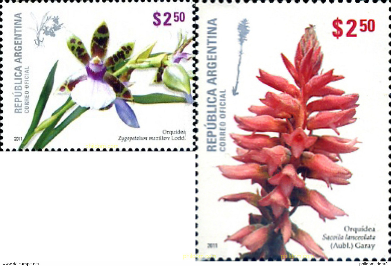 272659 MNH ARGENTINA 2011 ORQUIDEAS - Usati