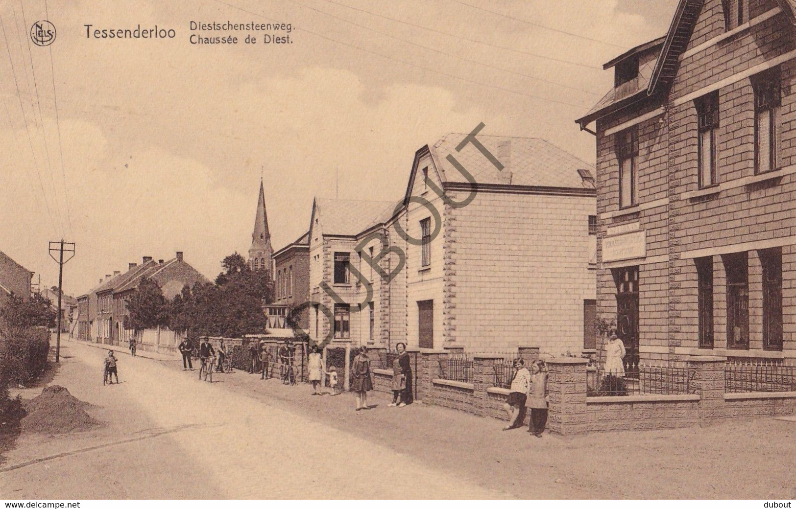 Postkaart/Carte Postale - Tessenderlo - Diestschensteenweg   (C3509) - Tessenderlo