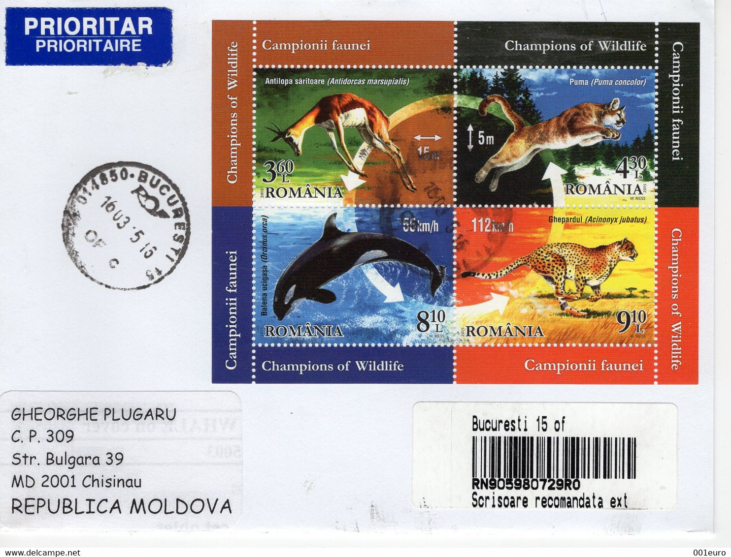 ROMANIA 2015: MAMMALS SPEED CHAMPIONS On REGISTERED Cover Circulated To Moldova Republic - Registered Shipping! - Covers & Documents