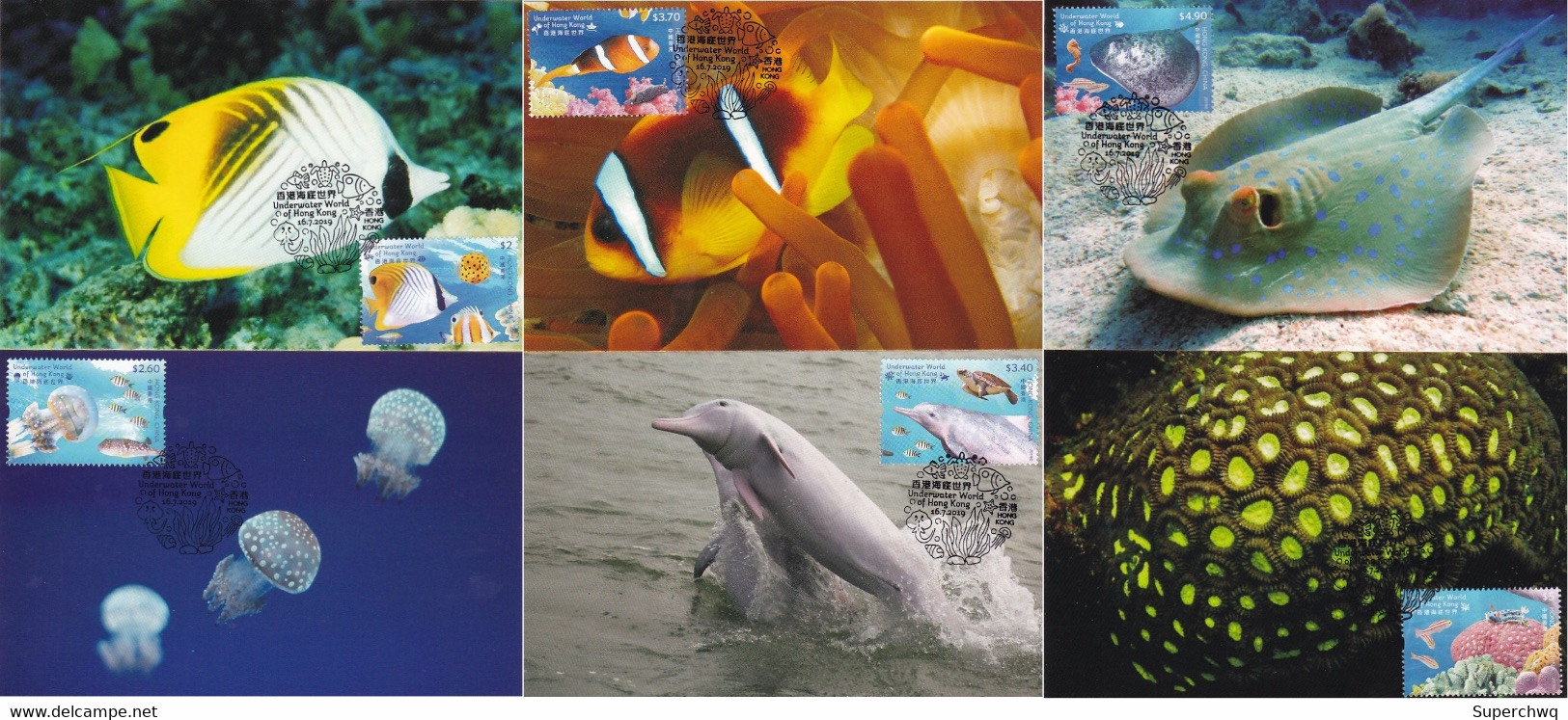 China Hong Kong Maximum Card，2019 Marine Animals In The Undersea World，6 Pcs - Maximum Cards