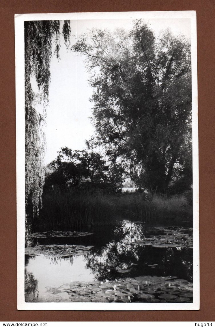 (RECTO / VERSO) CHAMPS SUR YONNE - VUE AU BORD DE L' YONNE - PHOTO FORMAT 140 X 85 Mm - 89 - Champs Sur Yonne