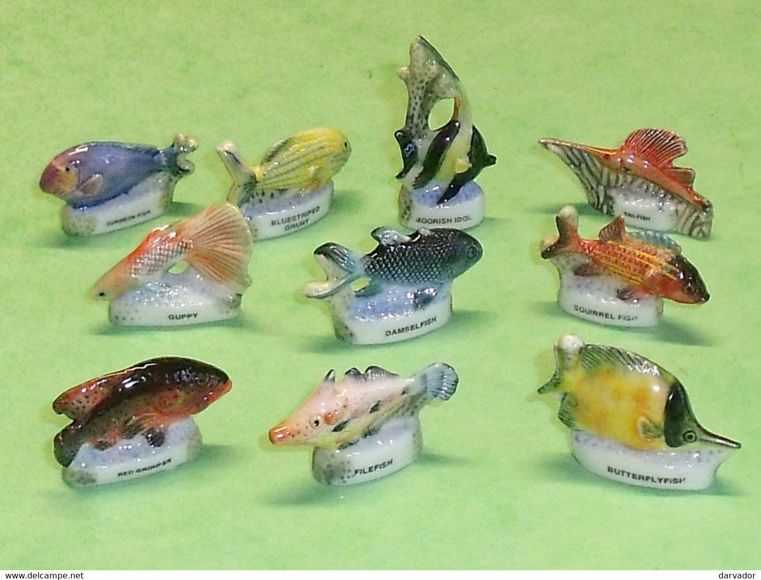 Fèves - Collection Poissons superbes – Armor Emballages