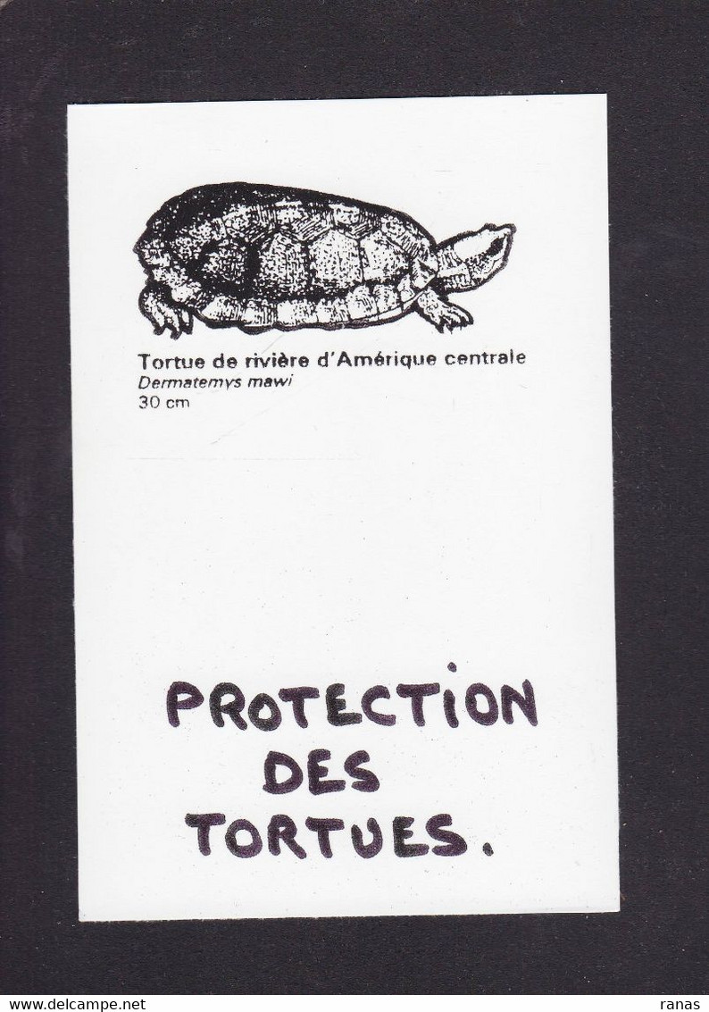 CPM Tortue Turtle Protection Animale Non Circulé - Turtles