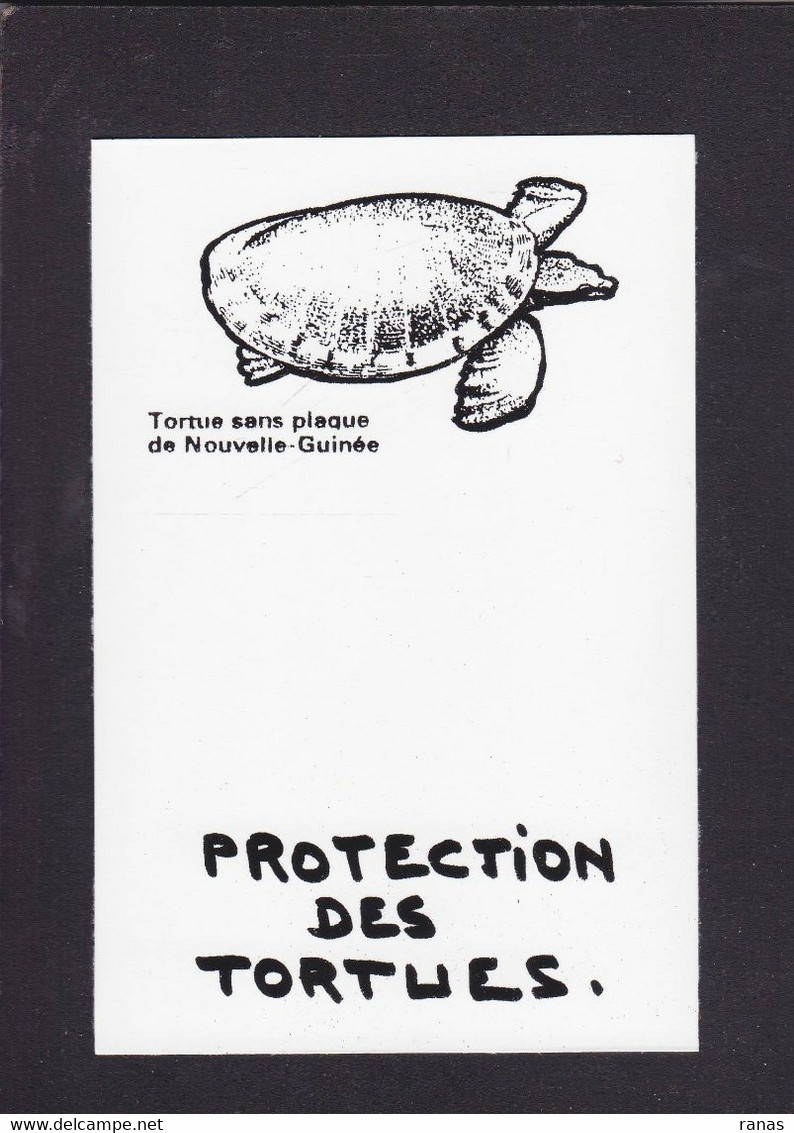 CPM Tortue Turtle Protection Animale Non Circulé - Tortues