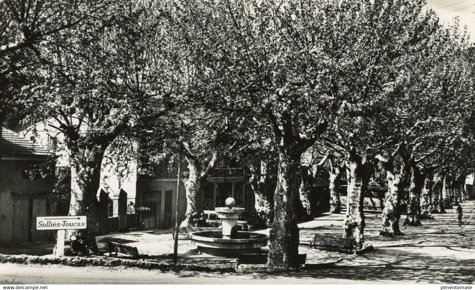 SOLLIES TOUCAS LA PROMENADE AUX PLATANES 1960 - Sollies Pont