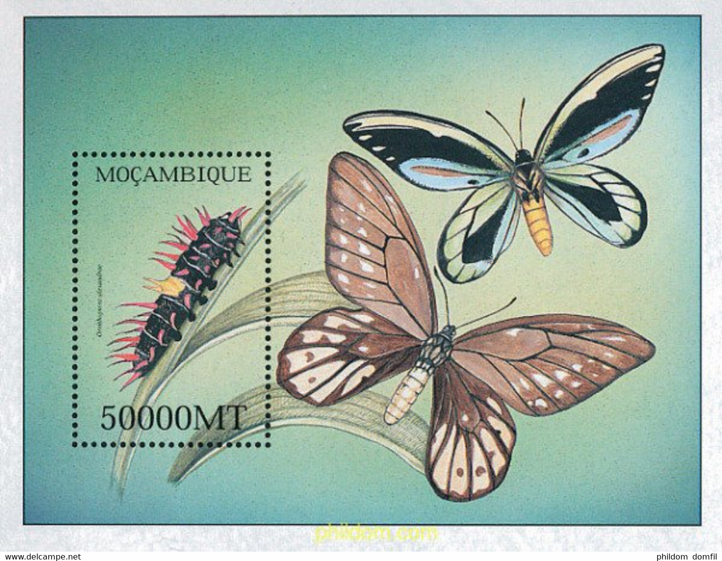 345931 MNH MOZAMBIQUE 2002 MARIPOSAS - Spinnen