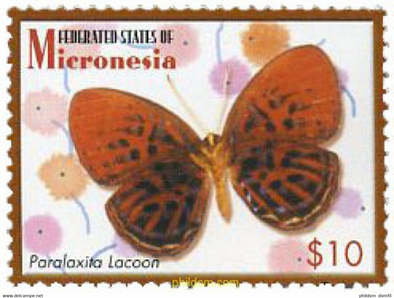 344362 MNH MICRONESIA 2006 MARIPOSAS - Spinnen