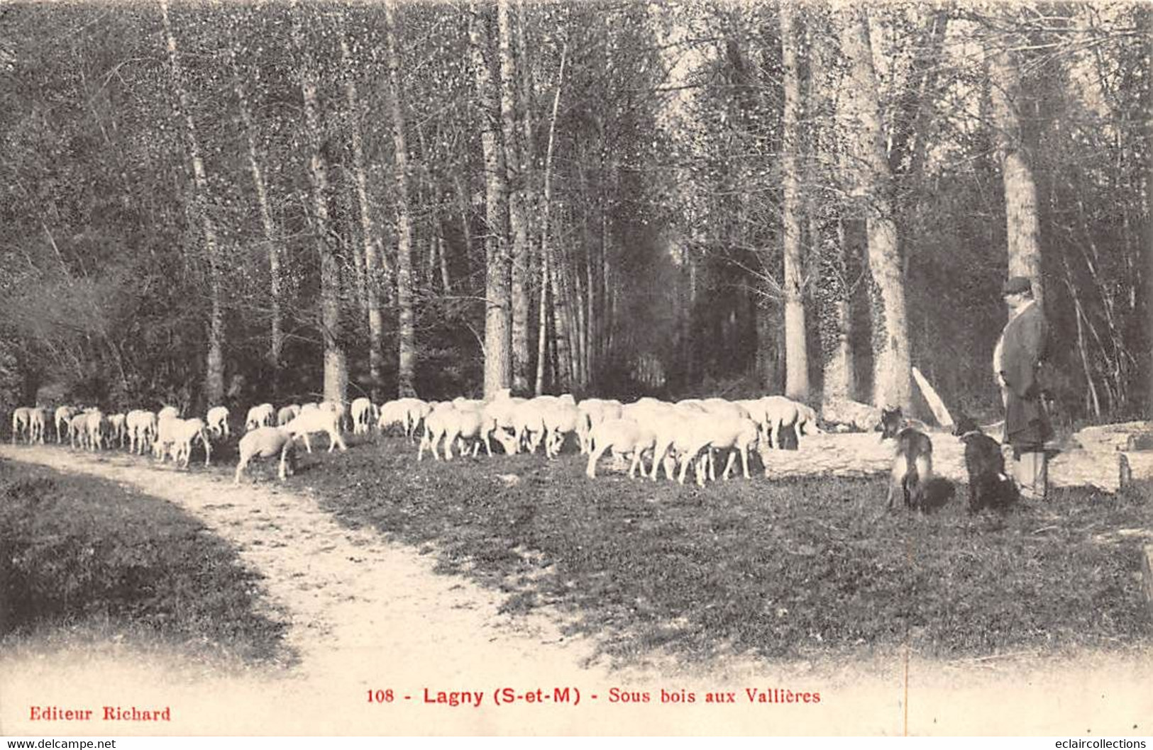 Lagny Sur Marne               77         Sous Bois Aux Vallières.  Moutons. Berger. Chiens  N° 108   (voir Scan) - Lagny Sur Marne