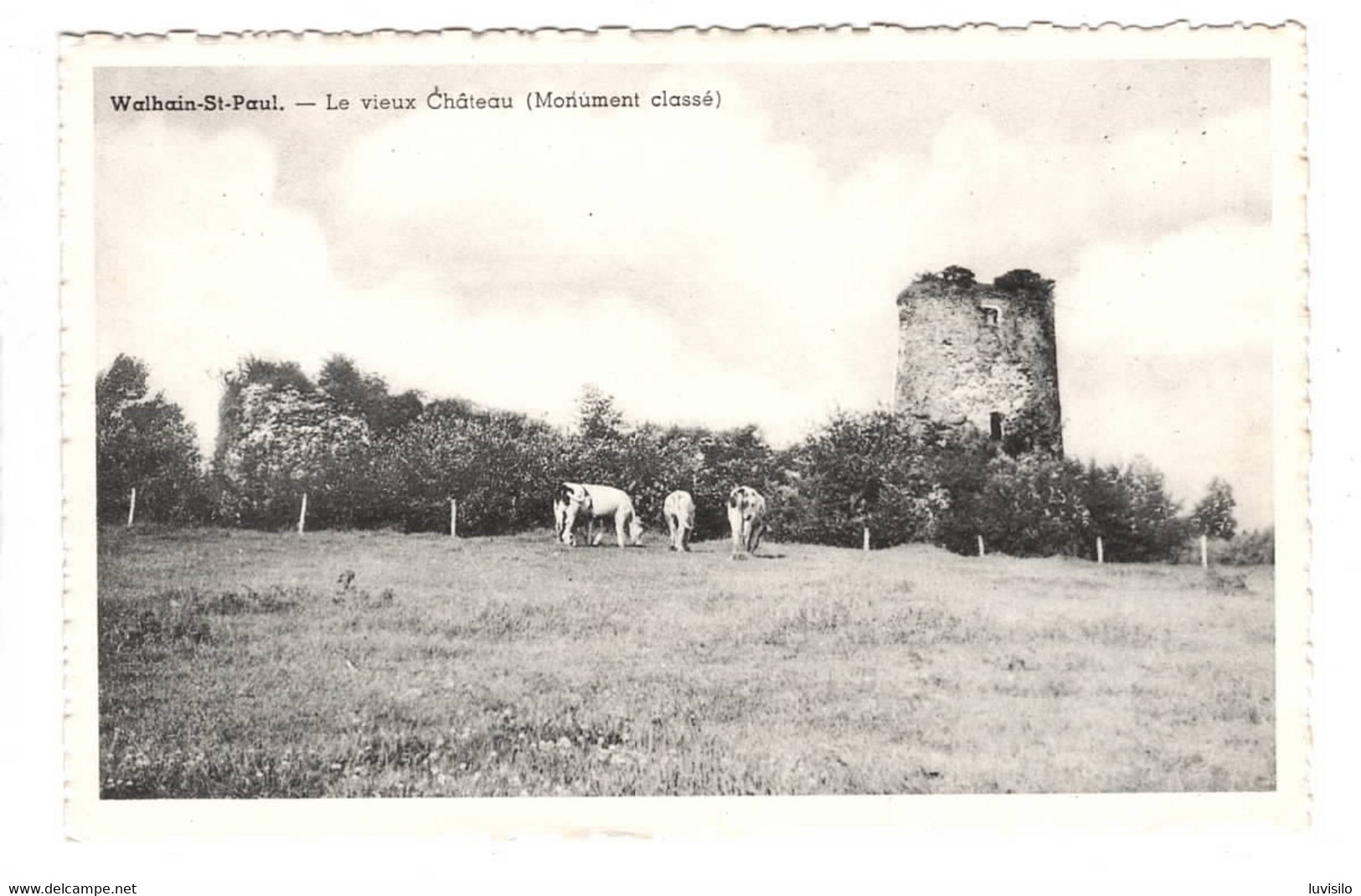 Walhain Saint Paul Le Vieux Chateau. Monument Classé - Walhain