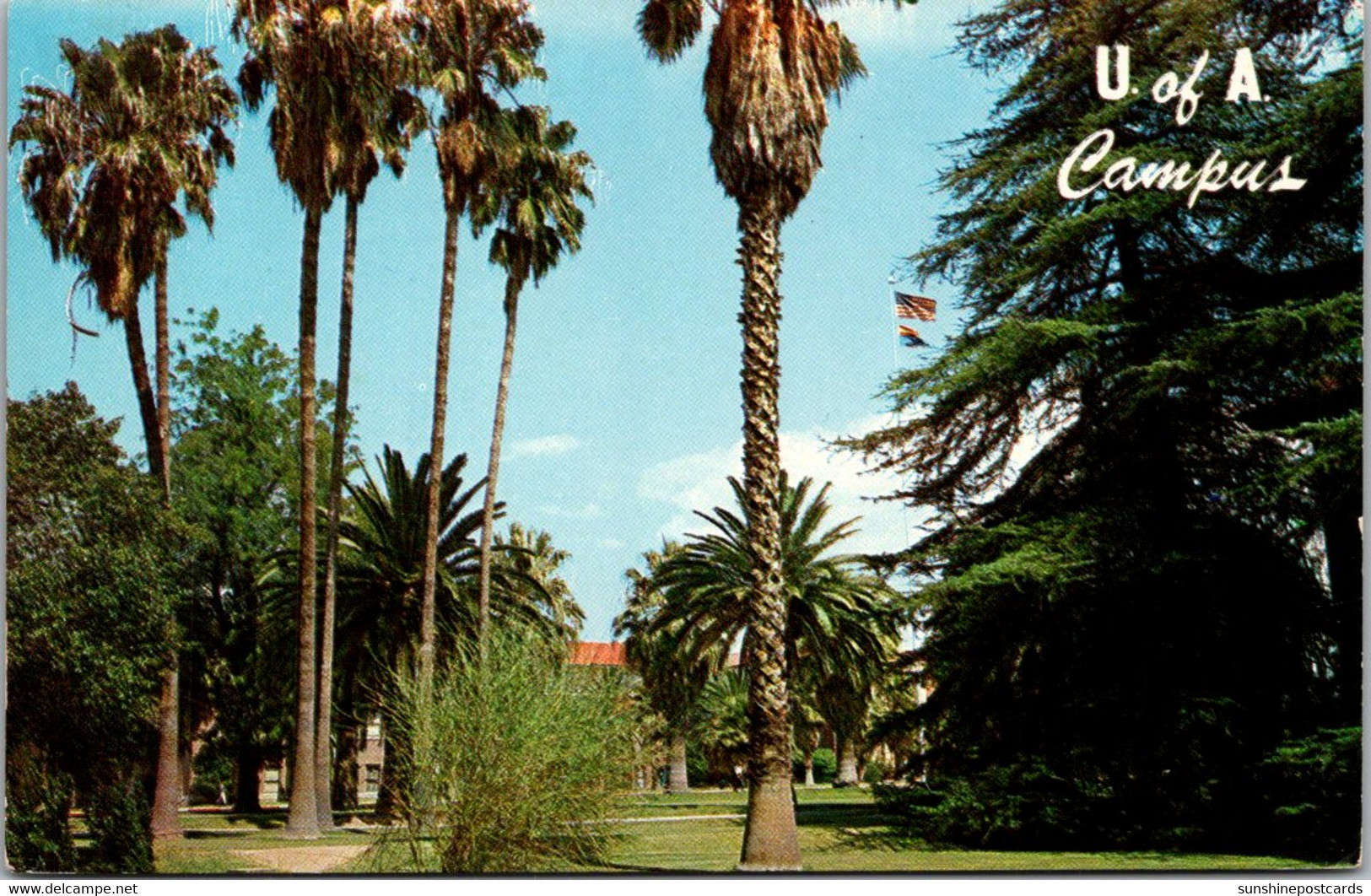 Arizona Tucson Campus View University Of Arizona - Tucson