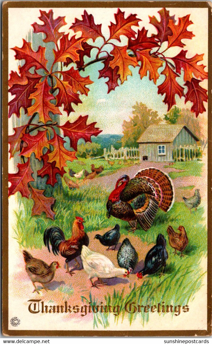 Thanksgiving With Turkeys - Thanksgiving