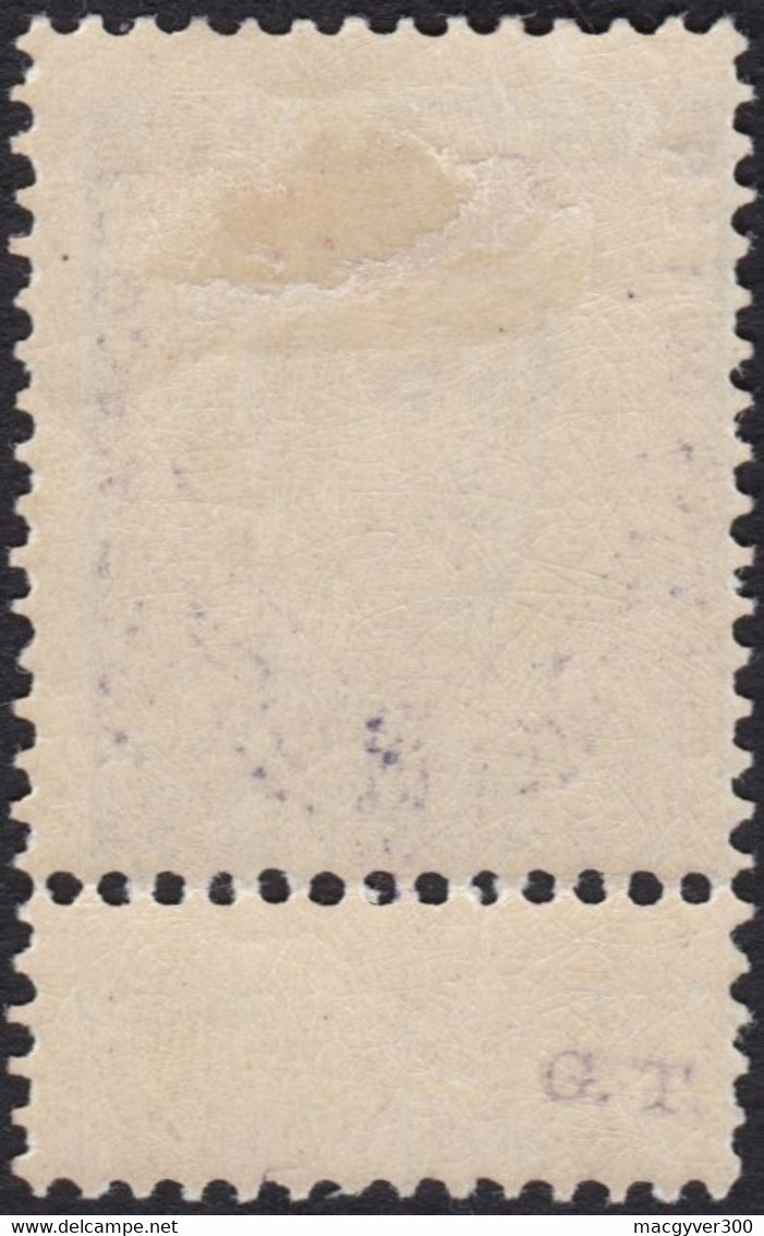 BELGIQUE, 1915, Chemins De Fer ( COB TR51 *) - Neufs