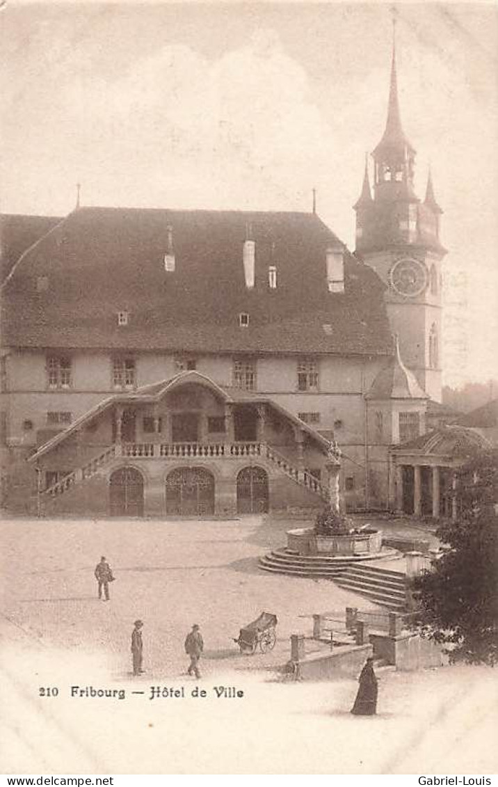 Fribourg L'Hôtel De Ville Et Le Tilleul De La Bataille De Morat - Murten