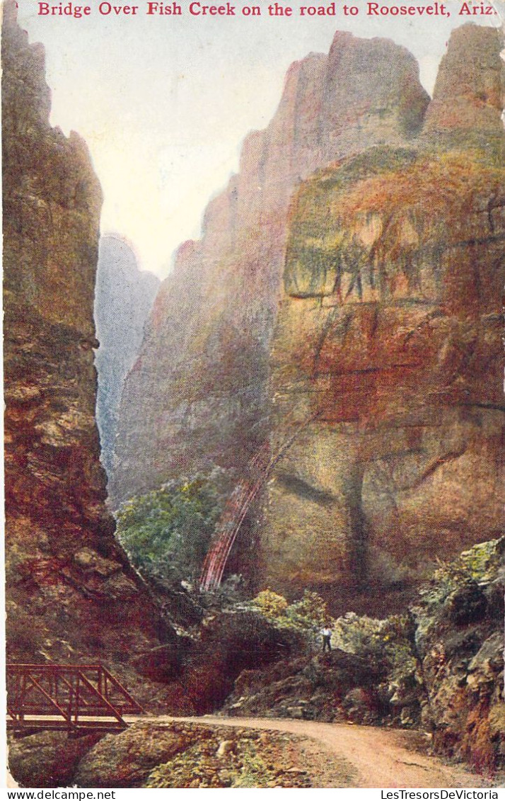 USA - ARIZONA - Bridge Over Fish Vreek On The Road To Roosevelt - Carte Postale Ancienne - Phoenix