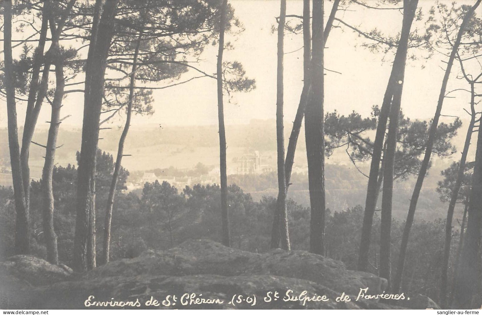 CPA 91 SAINT SULPICE DE FAVIERES / CARTE PHOTO / ENVIRONS DE SAINT CHERON - Saint Sulpice De Favieres