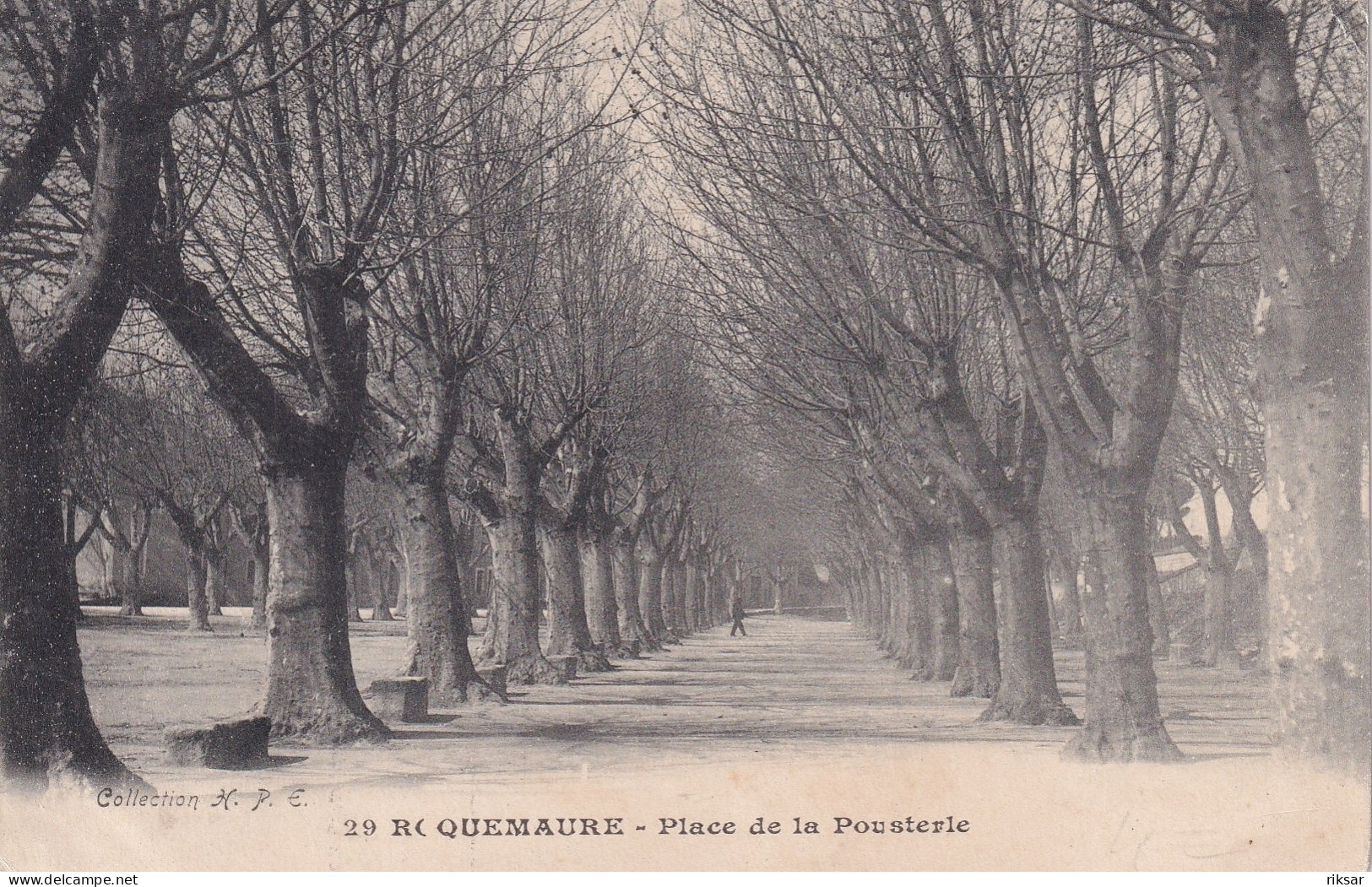 ROQUEMAURE(ARBRE) - Roquemaure