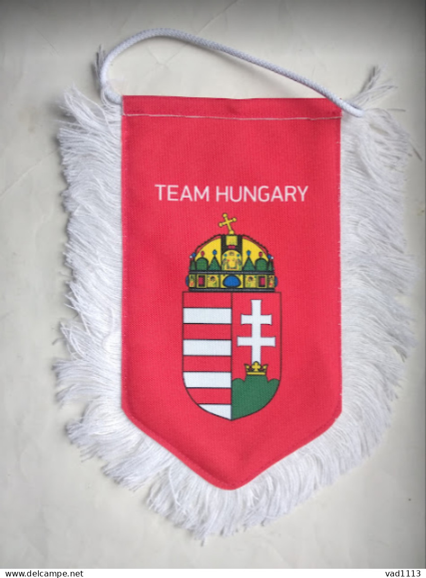 Official Pennant Of The Hungary Ice Hockey Federation. - Autres & Non Classés