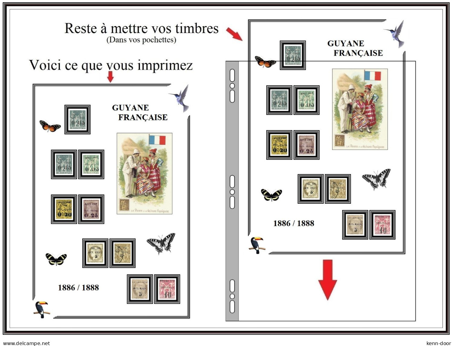 Albums De Timbres à Imprimer   GUYANE - Sonstige & Ohne Zuordnung