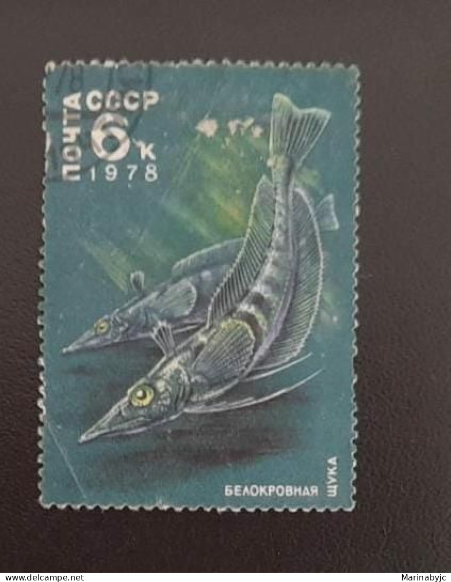 SD)1978, RUSSIA, WHITE BLOODFISH, DRACO OR ICE FISH, CHANNICHTHYIDAE, MNH - Sonstige & Ohne Zuordnung