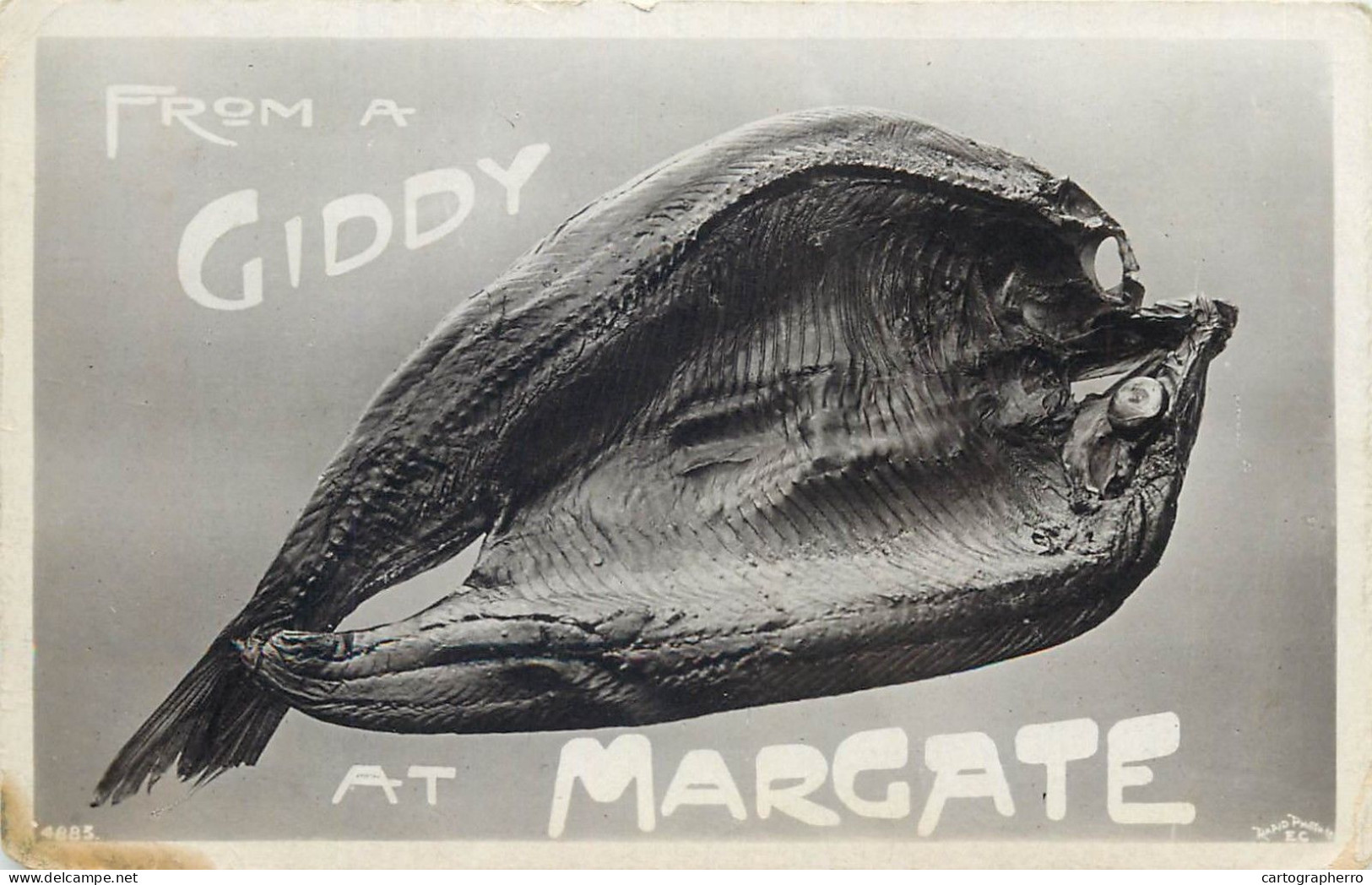 From A Giddy At Margate Fish - Margate