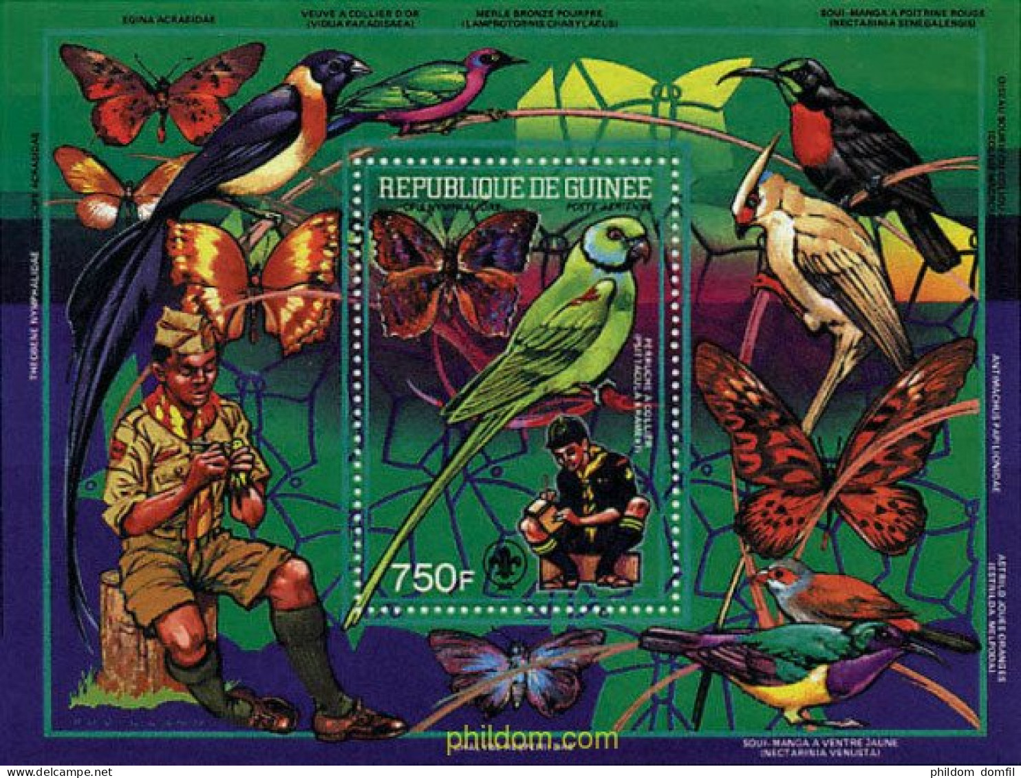 76151 MNH GUINEA 1988 FAUNA Y ESCULTISMO - Arañas