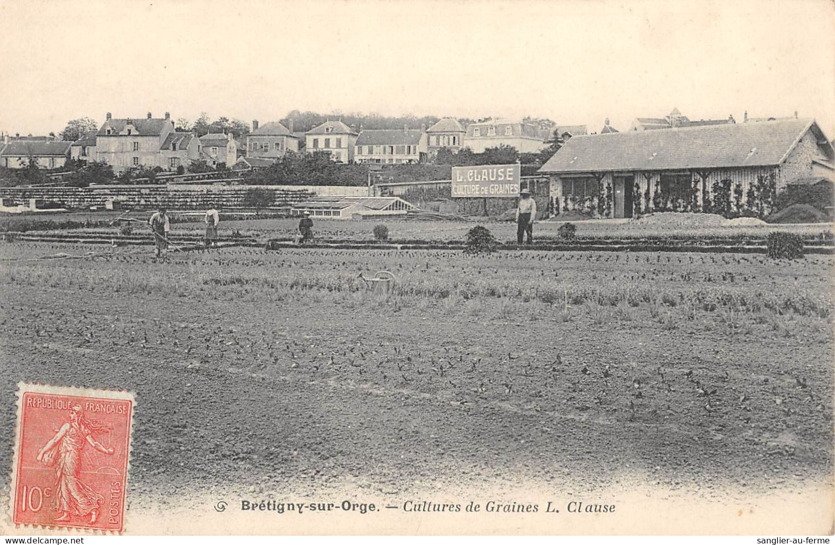 CPA 91 BRETIGNY SUR ORGE / CULTURES DE GRAINES / L.CLAUSE - Bretigny Sur Orge