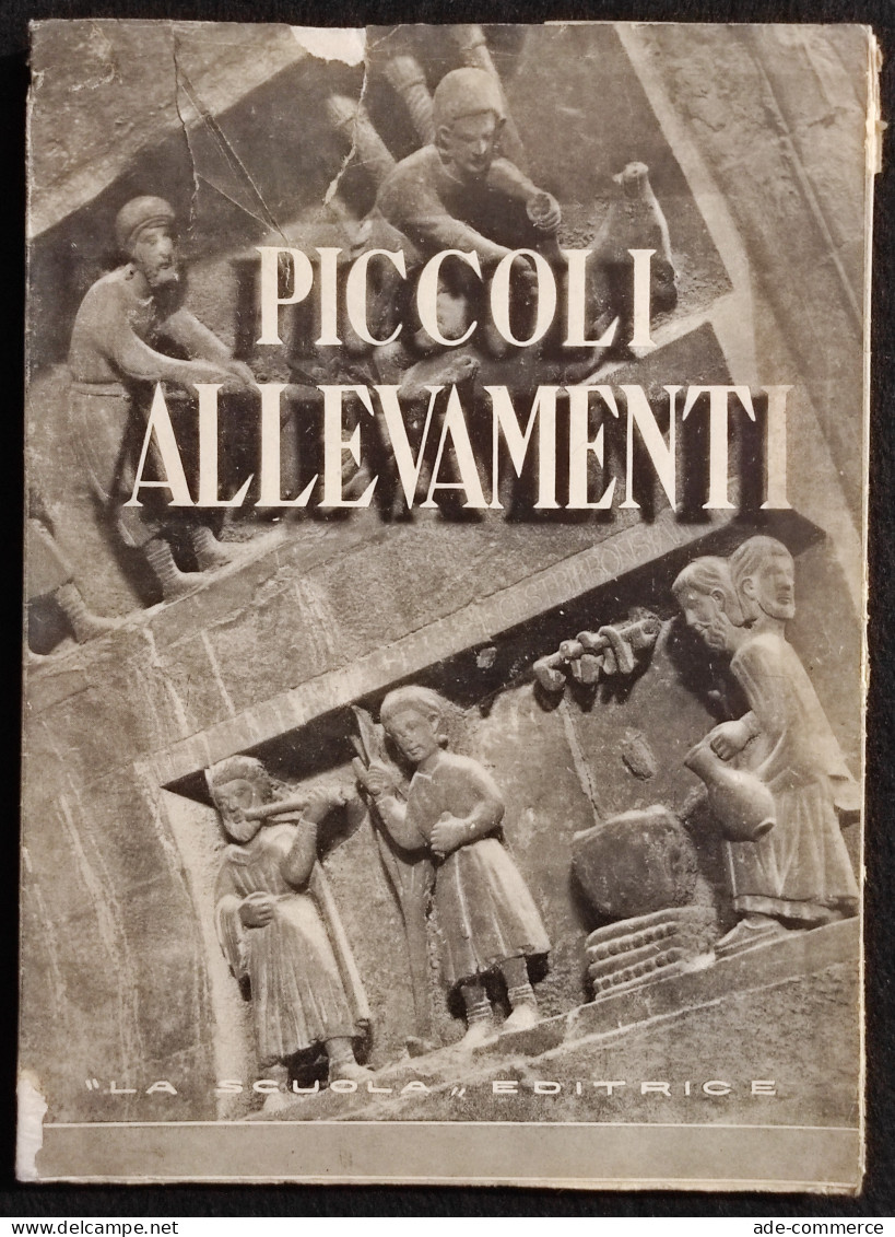 Piccoli Allevamenti - T. M. Bettini - La Scuola Ed. - 1942 - Animaux De Compagnie