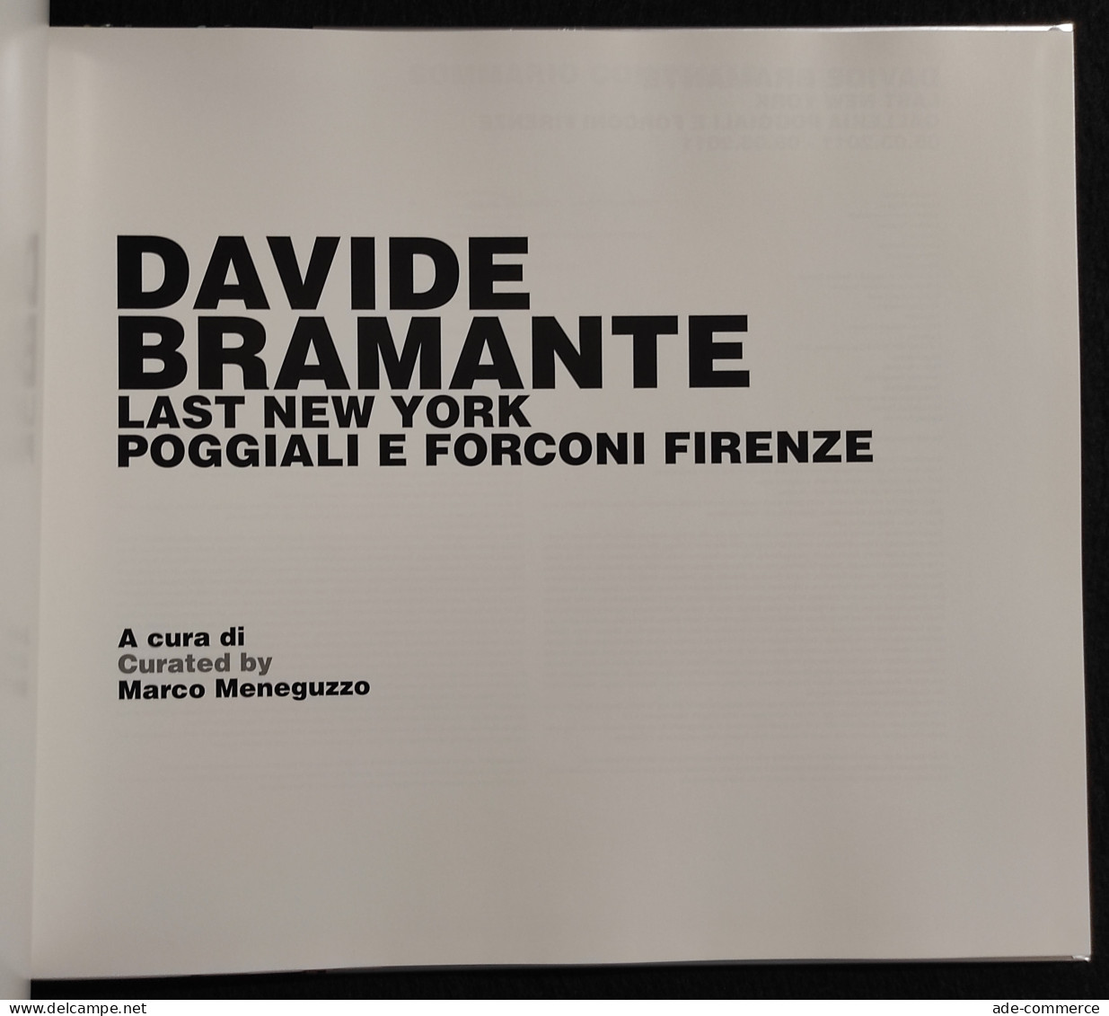 Davide Bramante - Last New York - Poggiali E Forconi - 2011 - Pictures