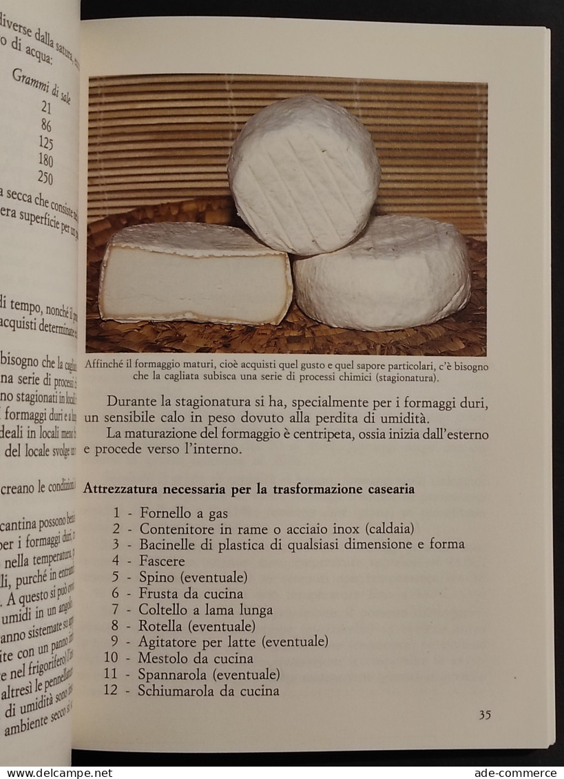 Formaggi, Burro, Yogurt E Ricotta Come Farli In Casa - Ed. Reda - 1989 - Maison Et Cuisine