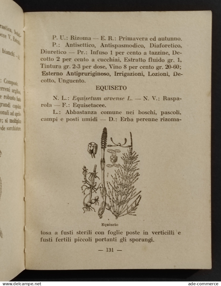 Le Piante Officinali E Del Sottobosco Della Provincia Di Vercelli - L. Pomini - Gardening